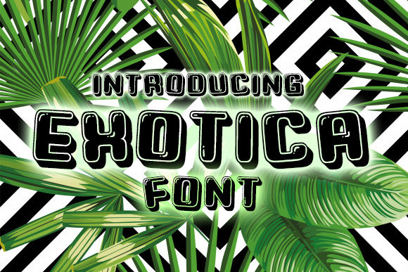 Exotica Font for Eye-Catching Brand Content