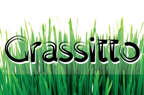 Grassitto: A Bold Font for Polished Branding