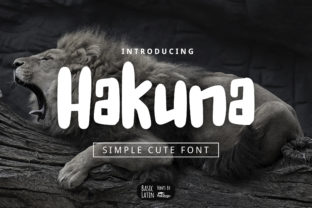 Hakuna Display Font for Web Design