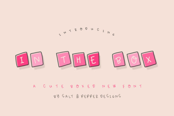 In the Box Font Review for Editorial Design
